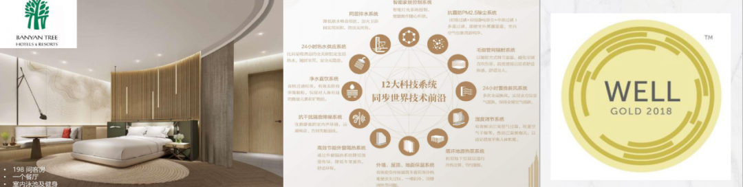 摇号“太卷”无需积分 260万起入手上海佘山臻藏大平层_中国网地产
