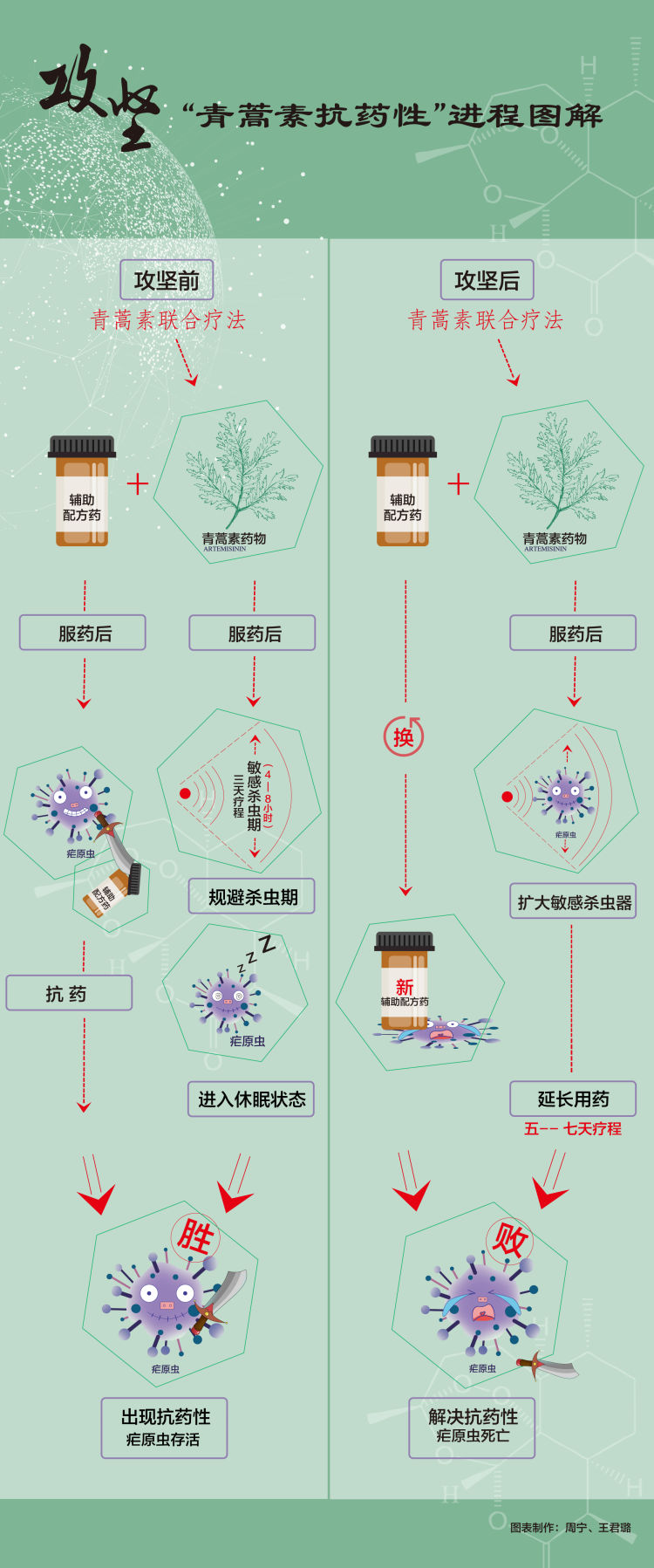 屠呦呦团队放大招:青蒿素抗药性研究获新突破